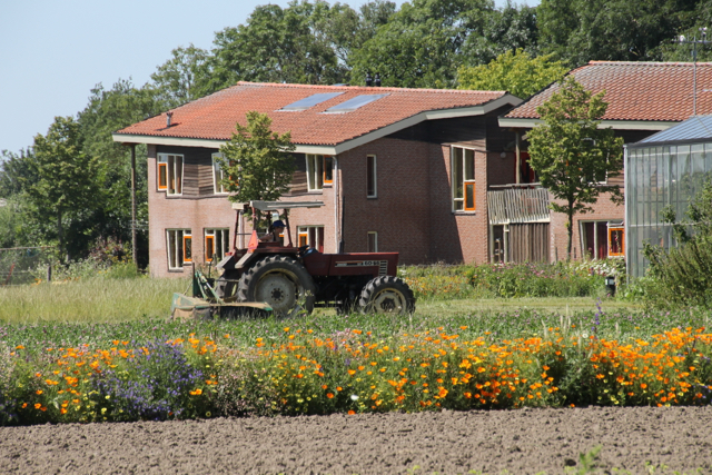 Onderzoek werkzaamheid Bloesemremedies op tuinbouwgrond