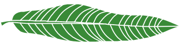 De Groene Vallei